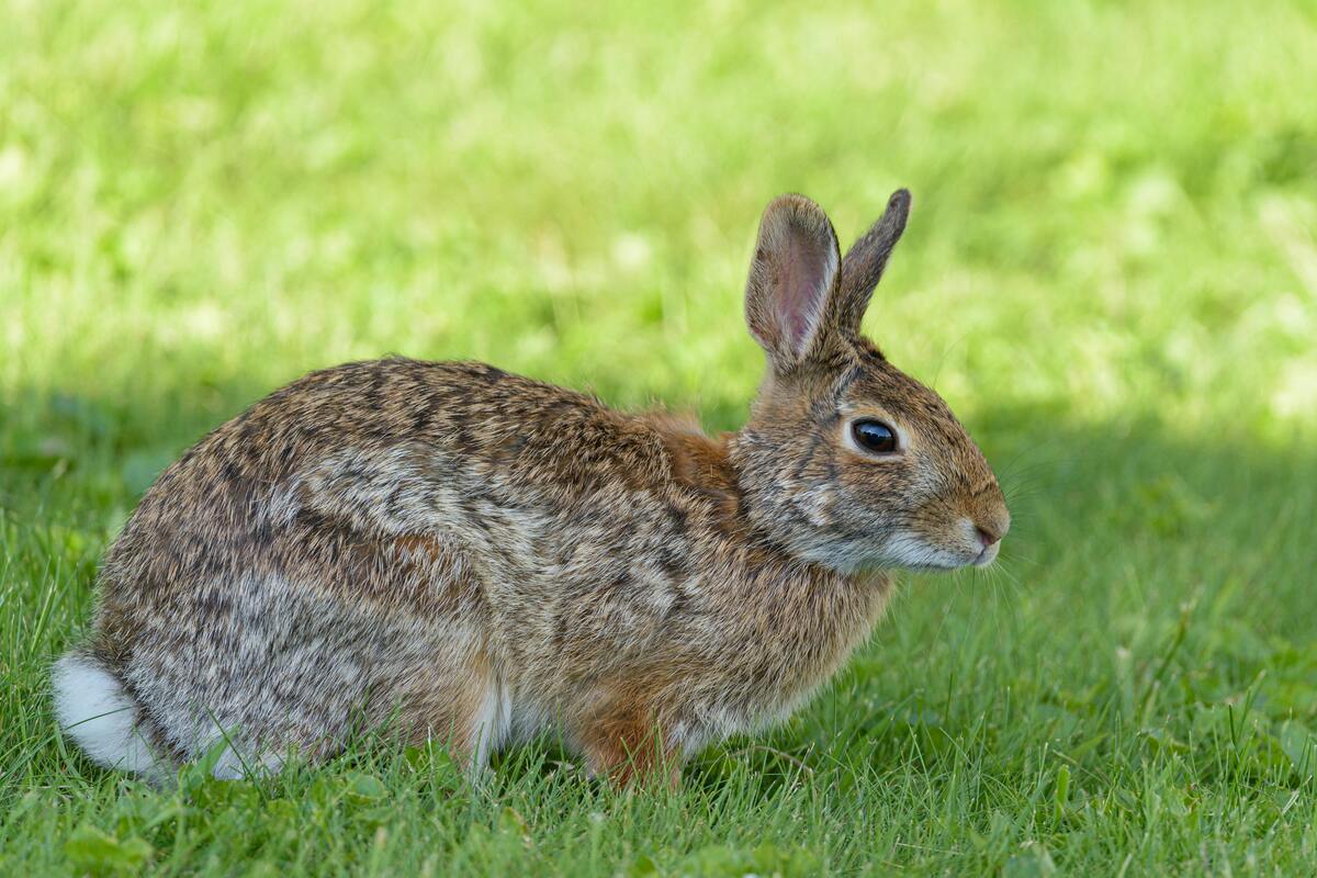 Hunter Education Course PA